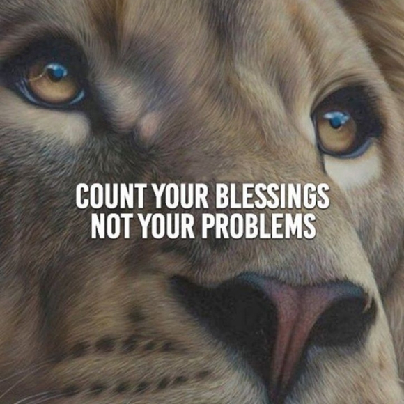 Meet your Posher, Maria - Picture 1 of 2